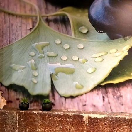 Hotel Ginkgo - Spa Biloba Quimper Luaran gambar